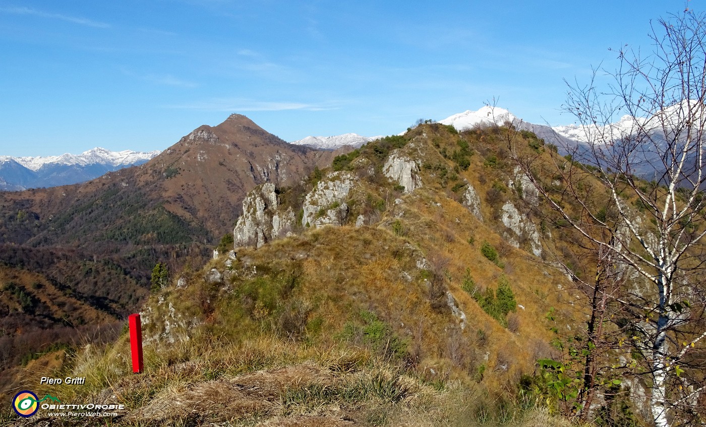 72 Impevia cresta per Cima Pizzo Rabbioso, salita ieri da Salvarizza.JPG -                                